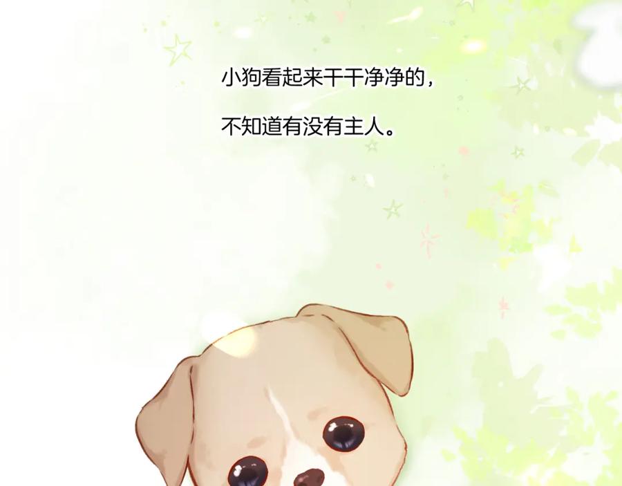 《保护我方大大》第124话 我的小狗 第3页