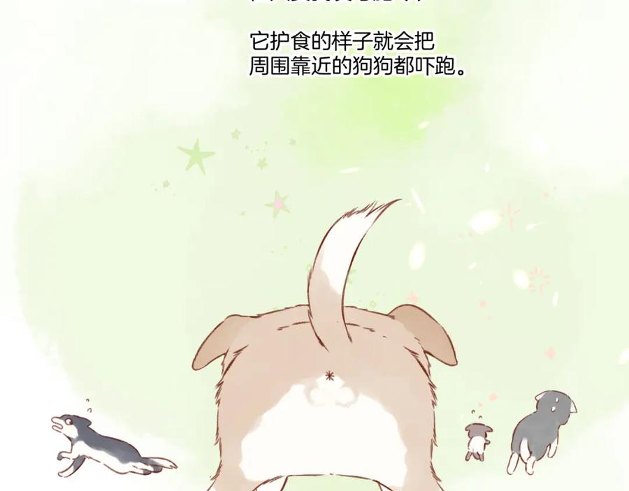 《保护我方大大》第124话 我的小狗 第10页