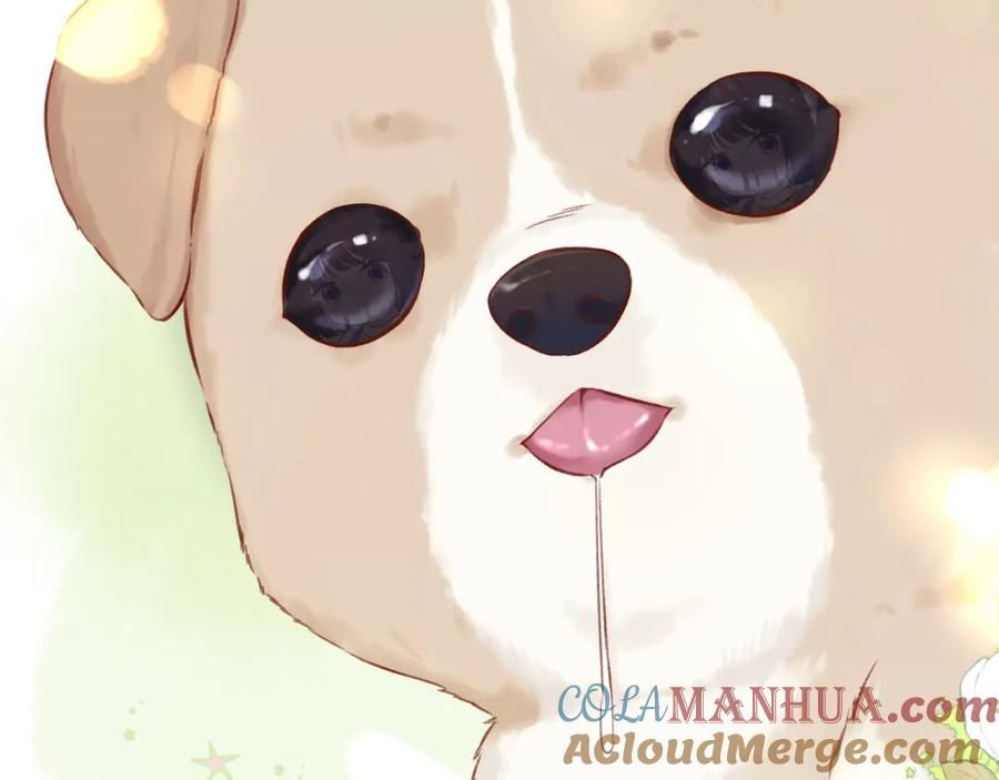 《保护我方大大》第124话 我的小狗 第8页