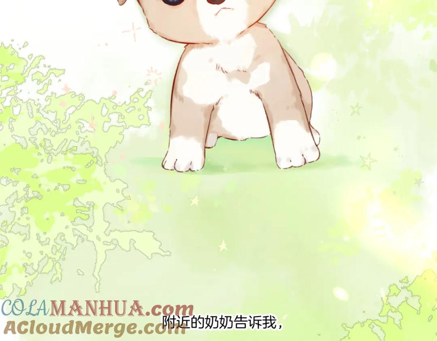 《保护我方大大》第124话 我的小狗 第4页