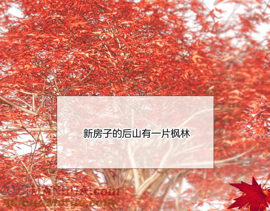《保护我方大大》枫与樱（番外篇） 第81页