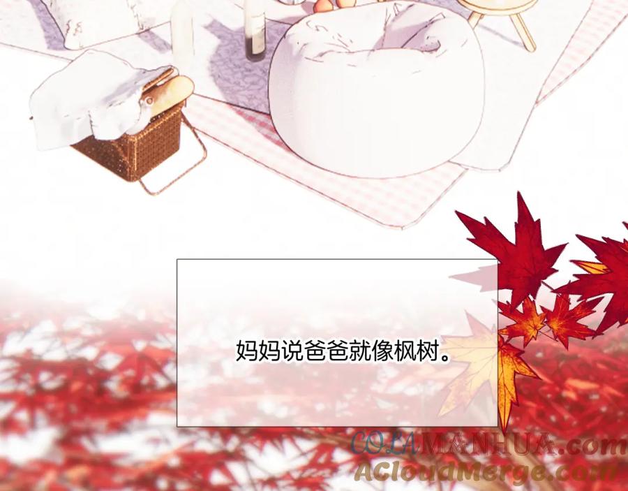 《保护我方大大》枫与樱（番外篇） 第85页