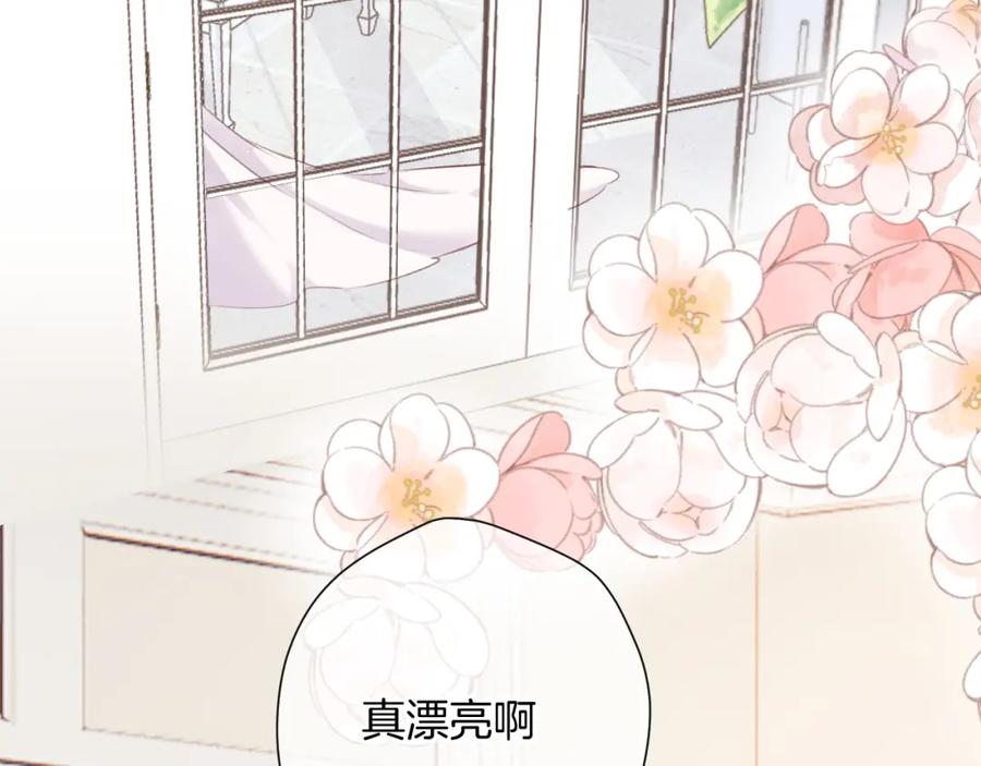 《保护我方大大》第141话 归宿 第3页
