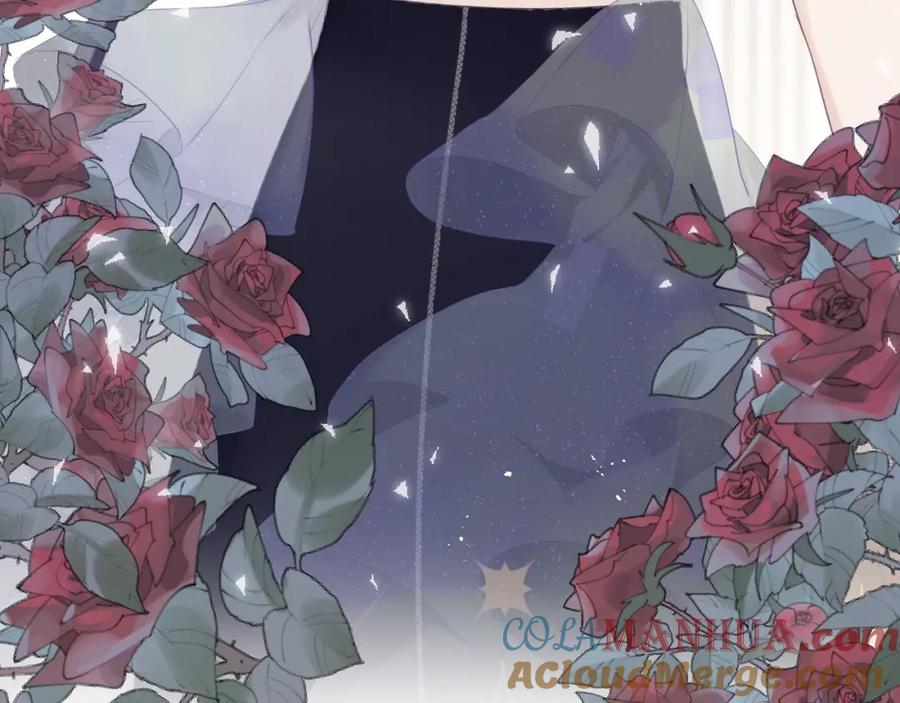 《保护我方大大》第37话 晚会 第41页