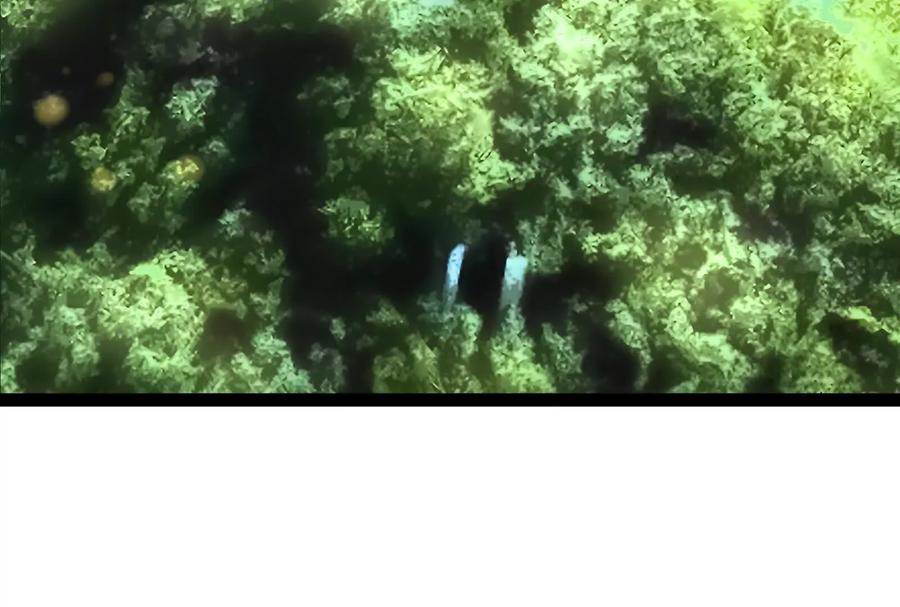 暴君的反穿越大联盟 第49话 炎婆 第120页