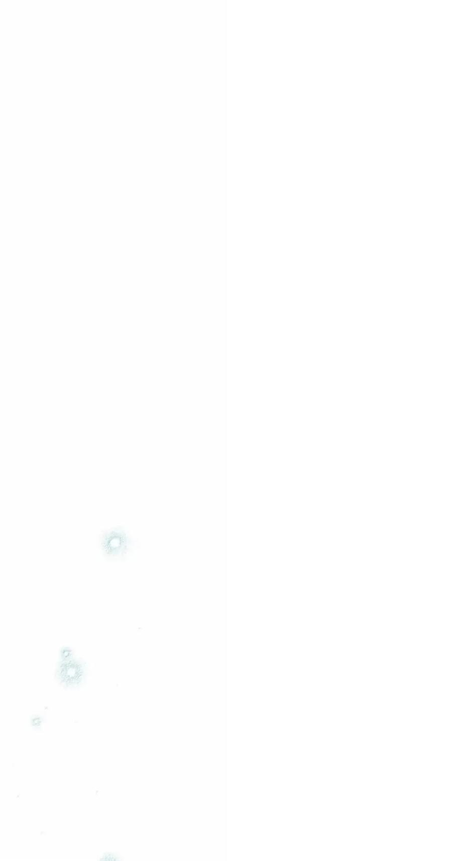 穿越成为暗黑系逆后宫小说男主们的小姨子 - 36 哥讨厌我 - 第38张图