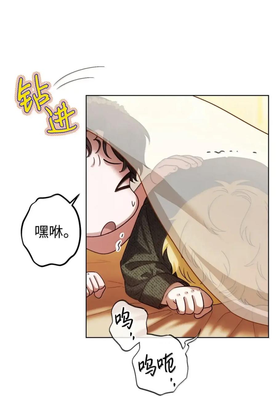 穿越成为暗黑系逆后宫小说男主们的小姨子 - 36 哥讨厌我 - 第89张图