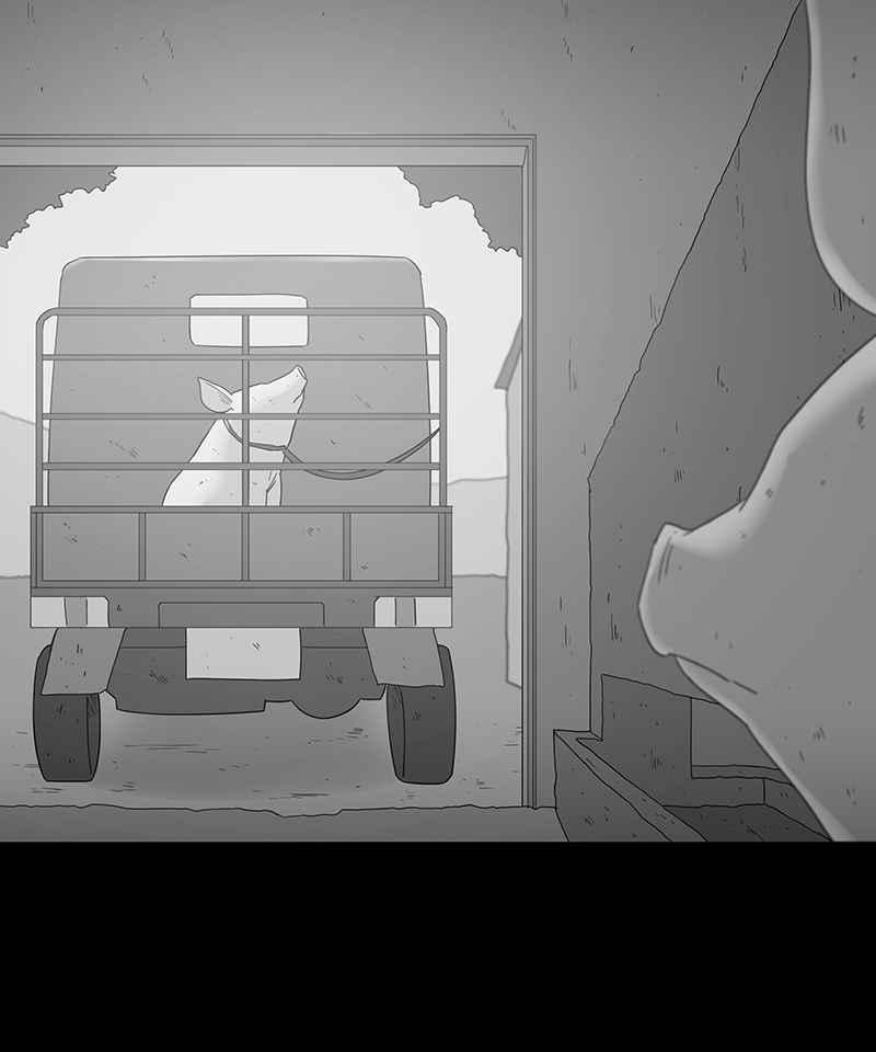 黑盒子 [第117话] 猪人(3) 第32页