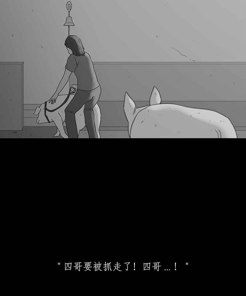 黑盒子 [第117话] 猪人(3) 第26页