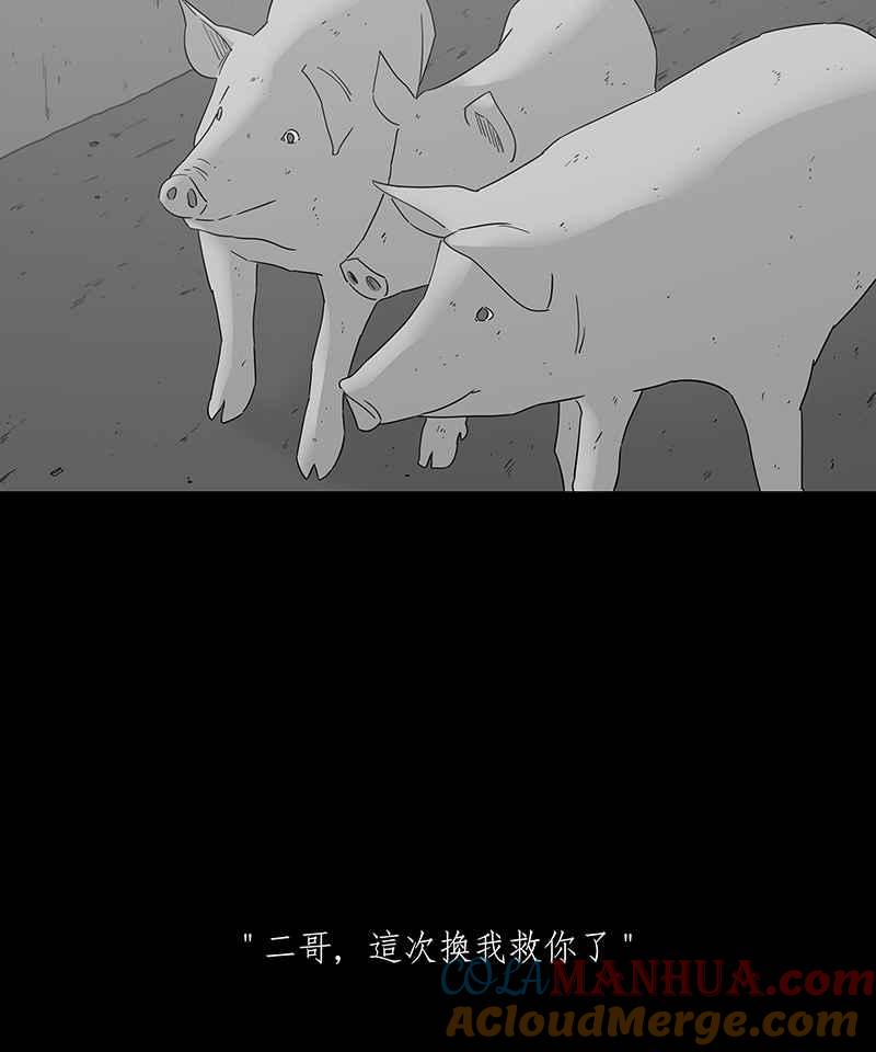 黑盒子 [第117话] 猪人(3) 第27页