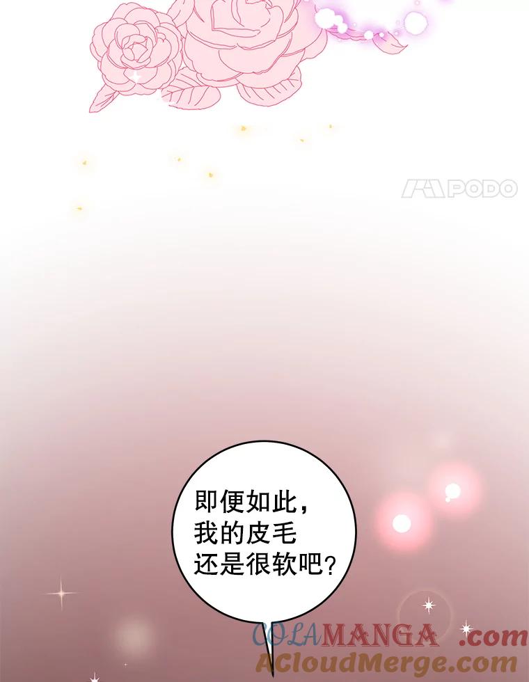 只需轻握我的手 24.巨大的老虎 第17页