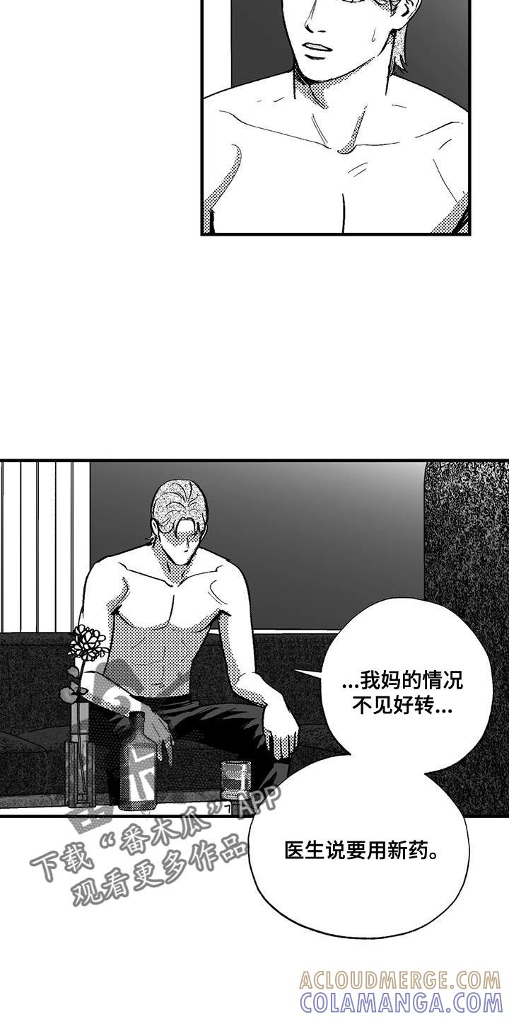 《绯色长夜》第132章：未来的事 第15页