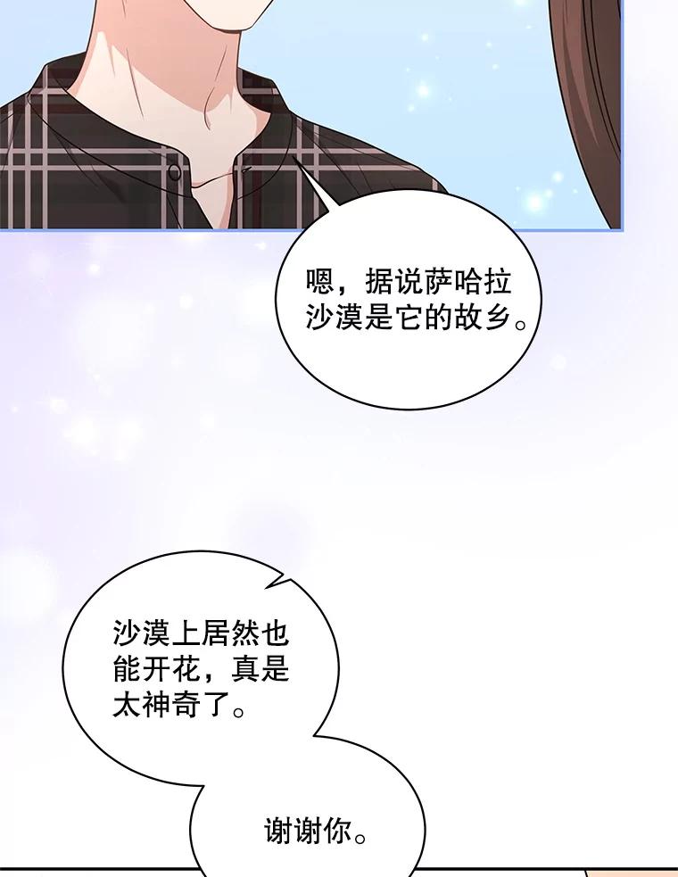 《爱的契约》54.约会 第74页