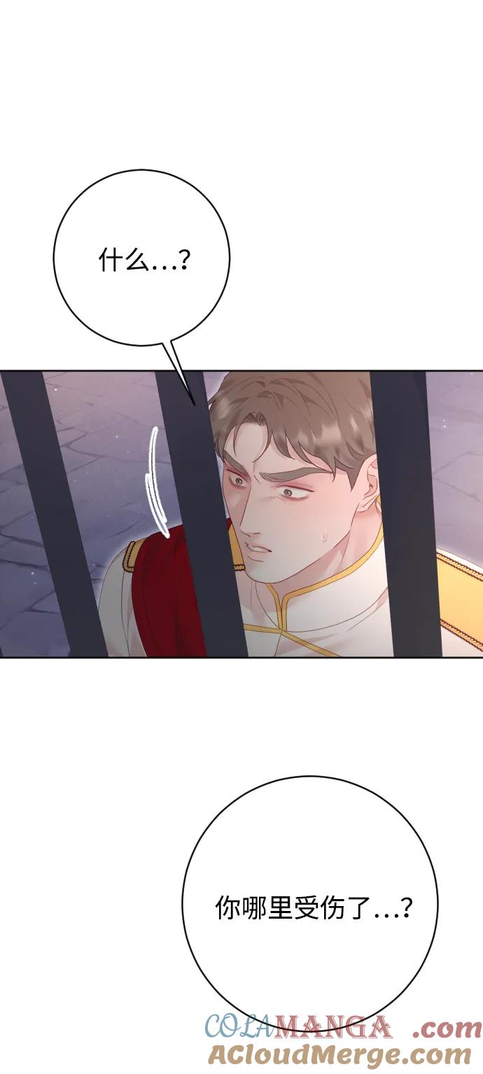 驯服黑化的野兽 - 第79话 - 第93张图