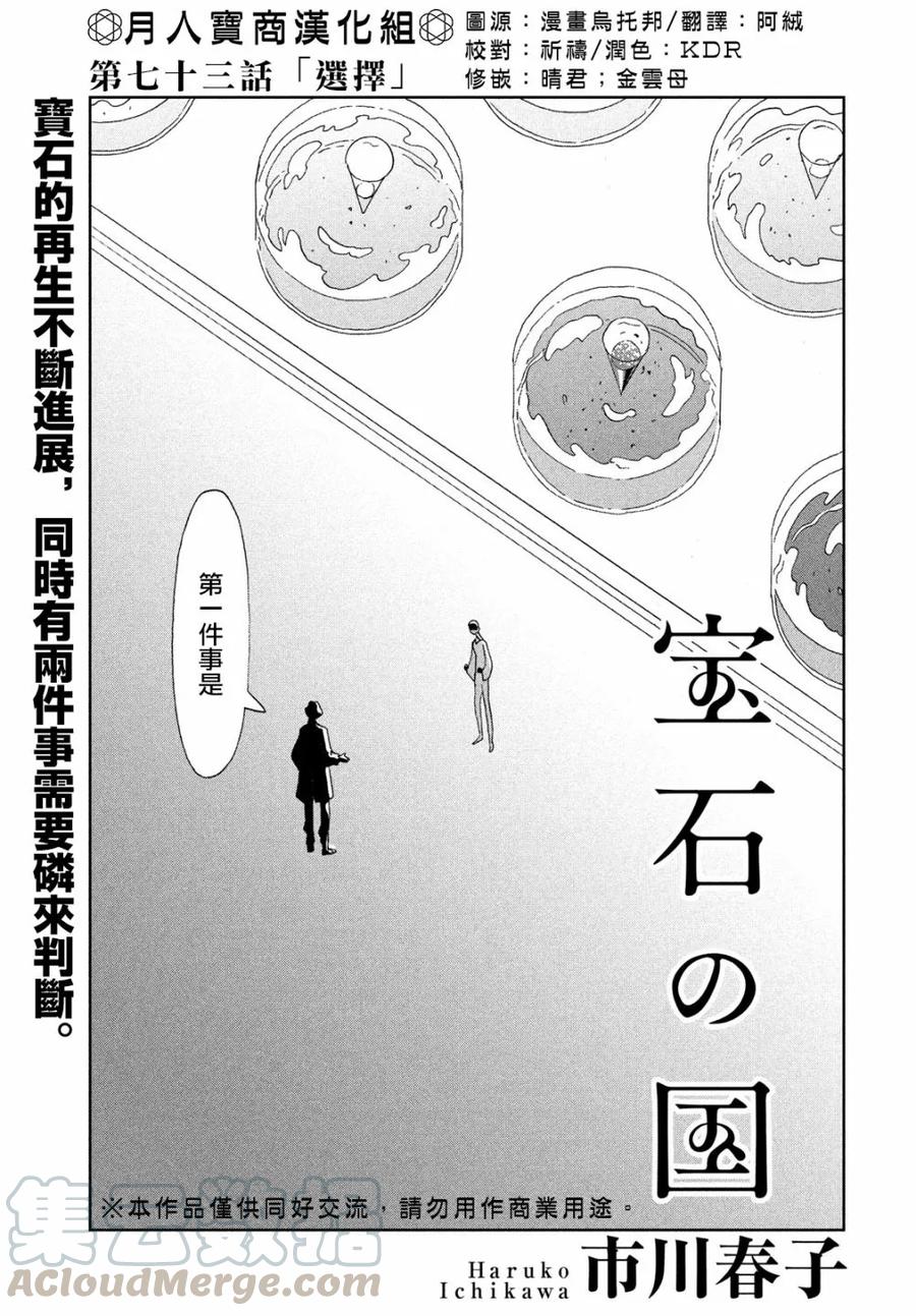 《宝石之国》73 选择 第1页