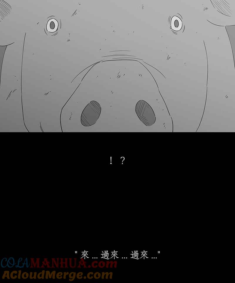 黑盒子 [第117话] 猪人(3) 第19页