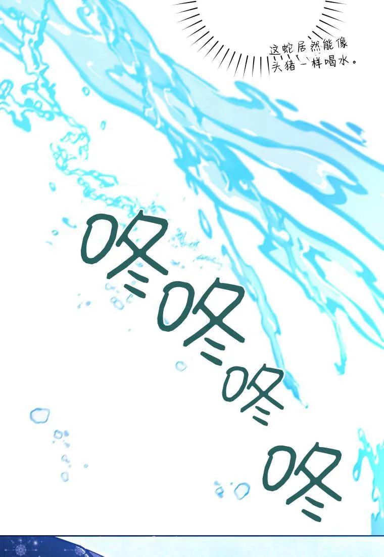 黑幕虎鲸宝宝 第37话 第6页