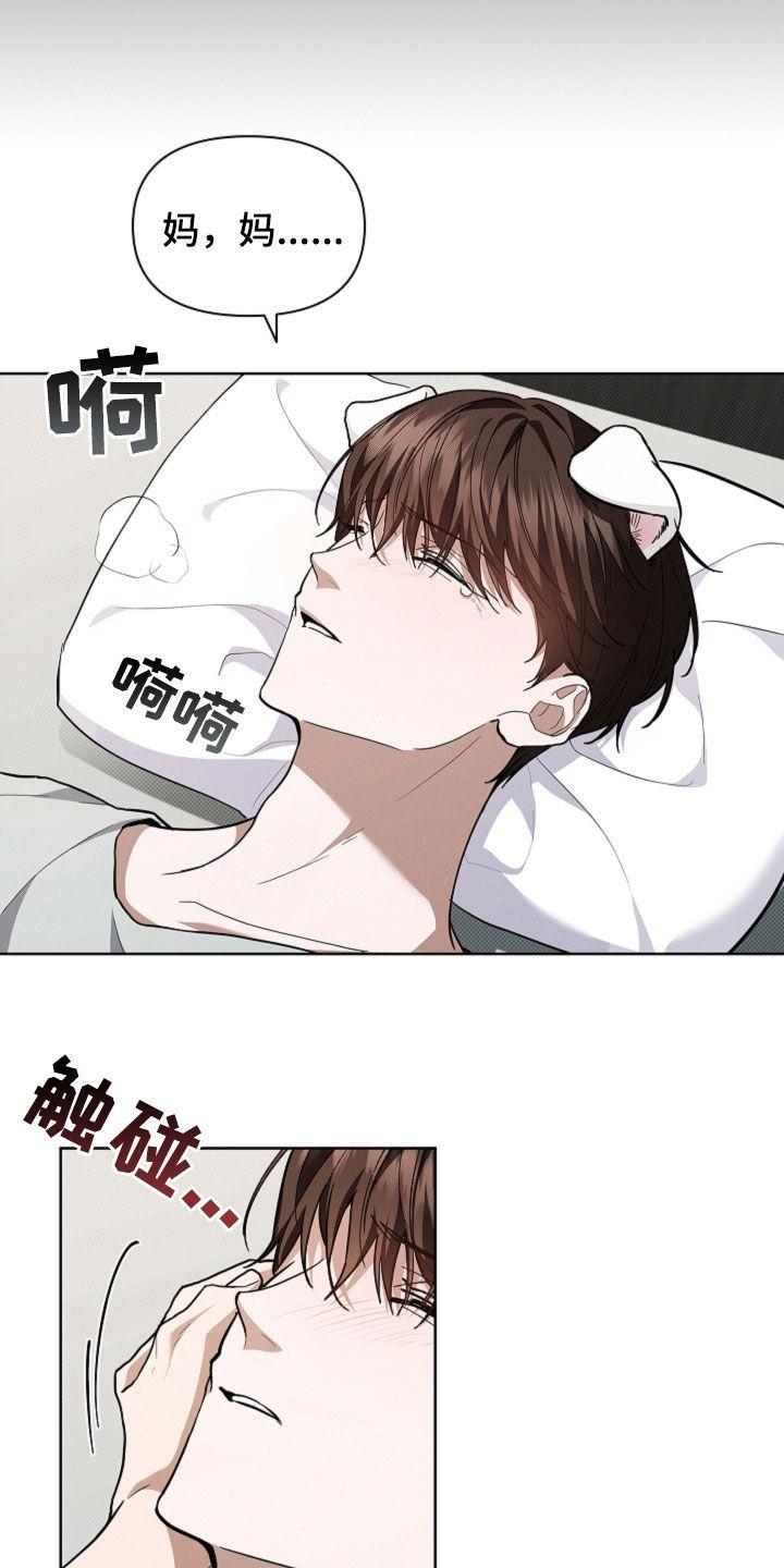 18.jpg