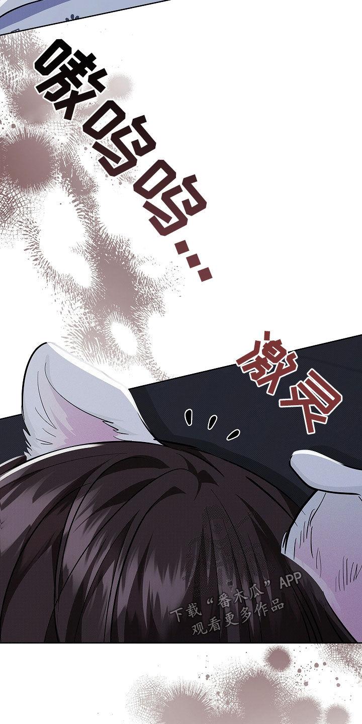 22.jpg