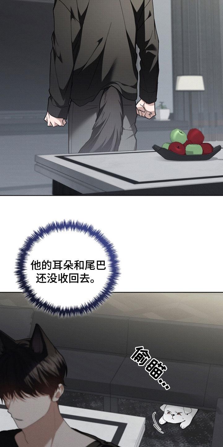 36.jpg