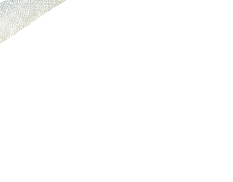 《把我的小狗送上皇位》第84话 正面对抗 第10页