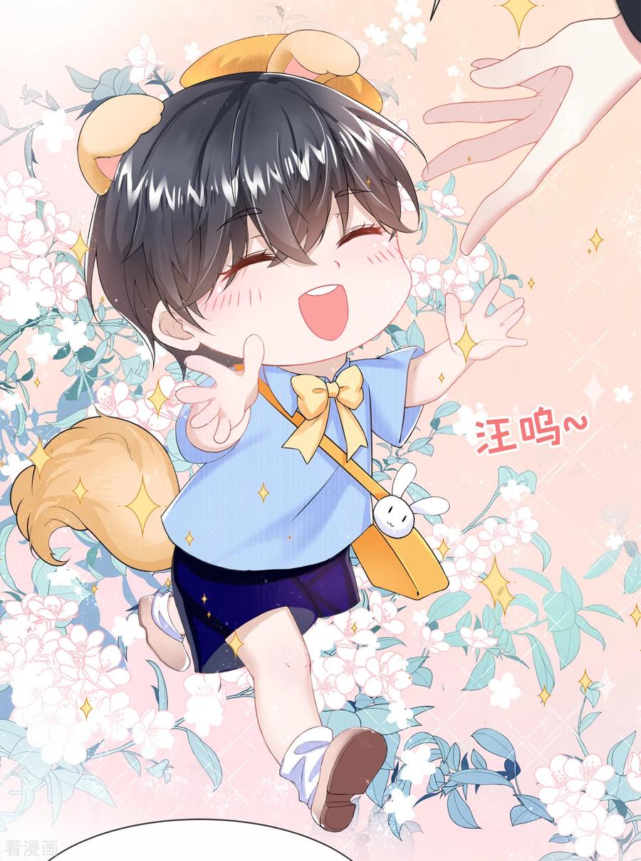 《我的萌宝是僚机》第1话 抱爹地大腿 第36页
