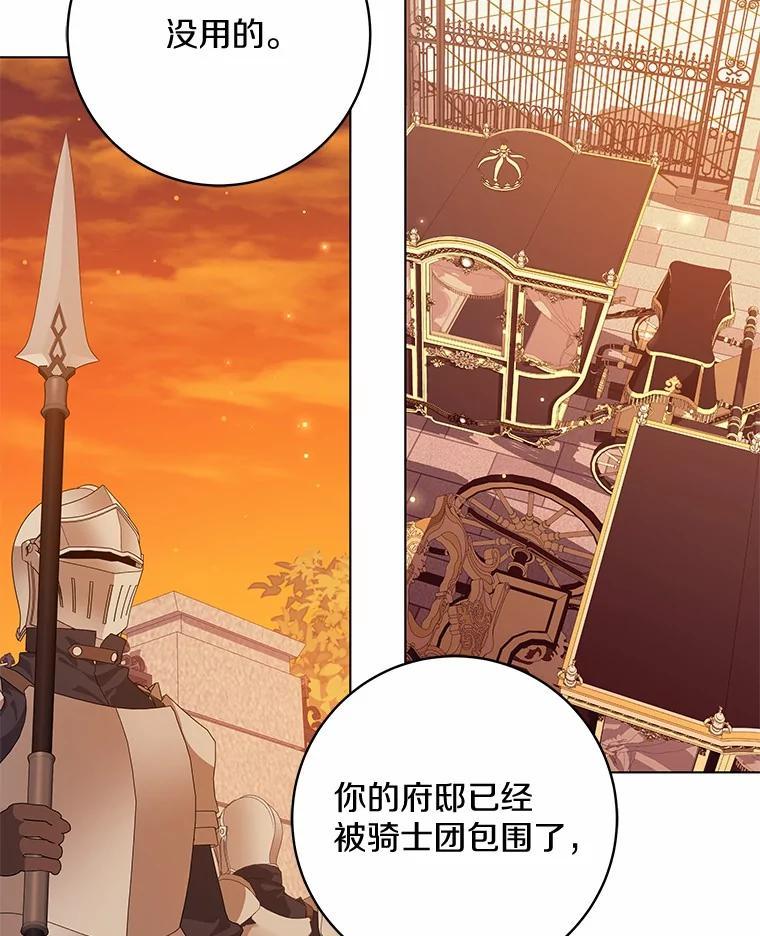 《我从没抛弃过陛下》53.一网打尽 第47页