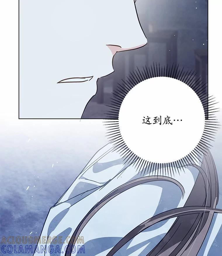 《我从没抛弃过陛下》54.相认 第117页