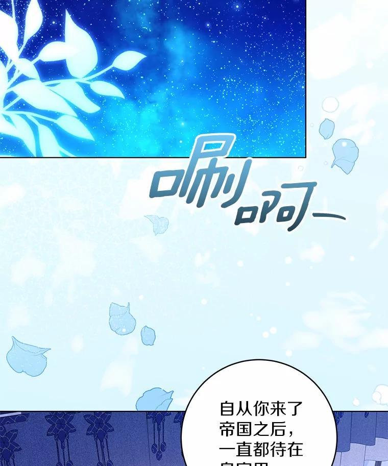 《我从没抛弃过陛下》54.相认 第2页