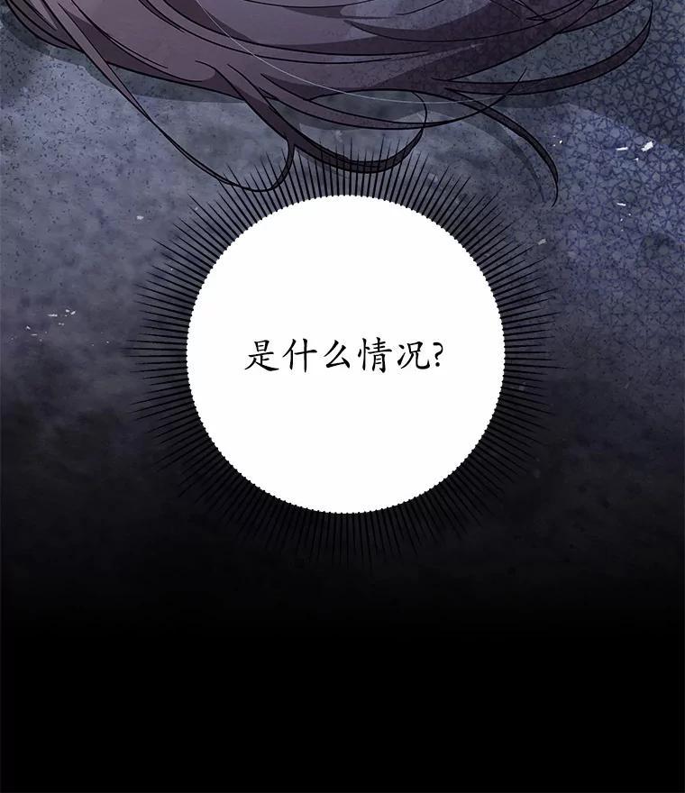 《我从没抛弃过陛下》54.相认 第119页