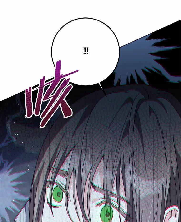 《我从没抛弃过陛下》54.相认 第108页