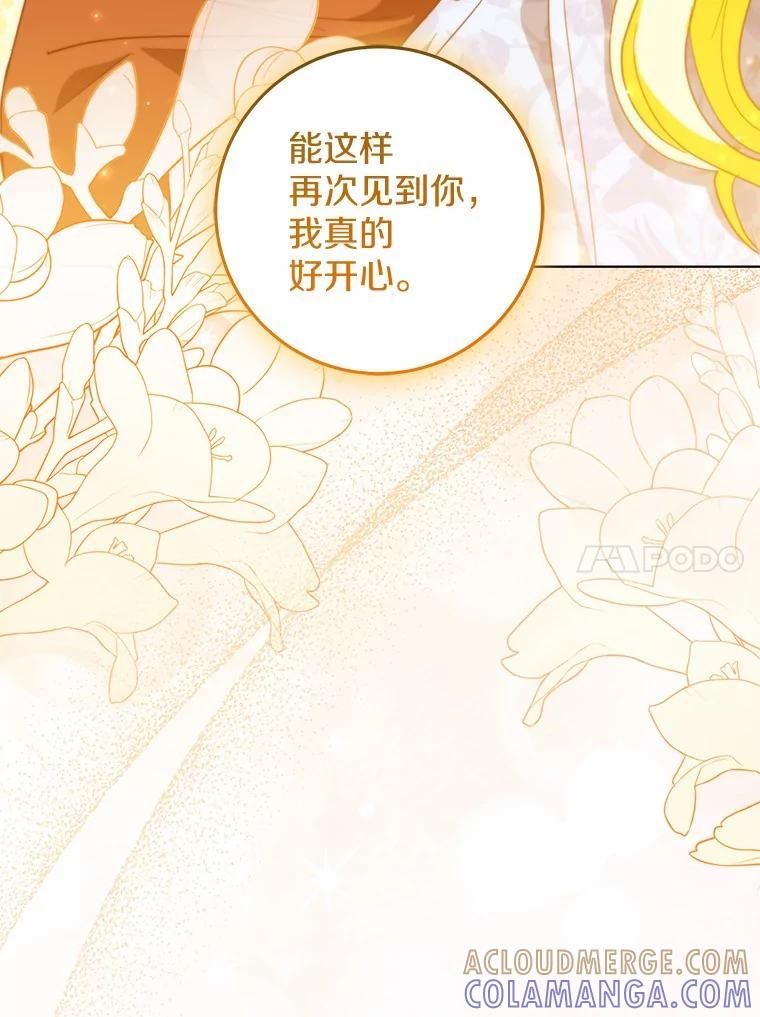 《我从没抛弃过陛下》54.相认 第73页