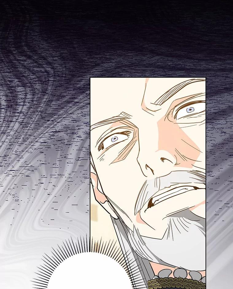 《我从没抛弃过陛下》55.审判 第96页
