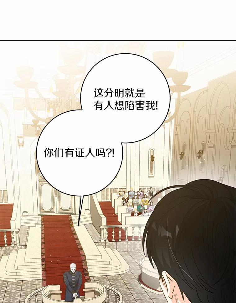 《我从没抛弃过陛下》55.审判 第83页