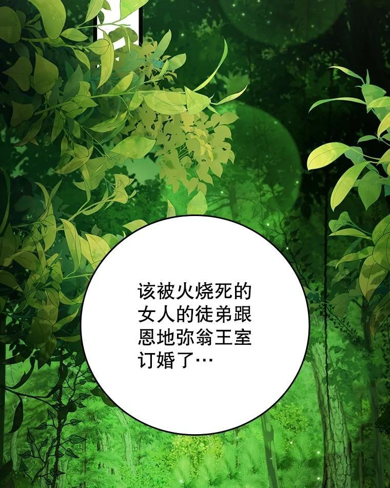 《噬龙魔法师》66.求婚 第115页