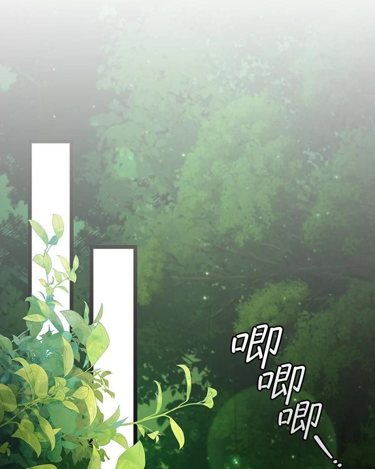 《噬龙魔法师》66.求婚 第114页