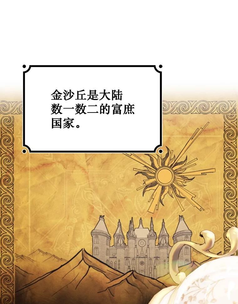 《噬龙魔法师》67.海盗 第15页