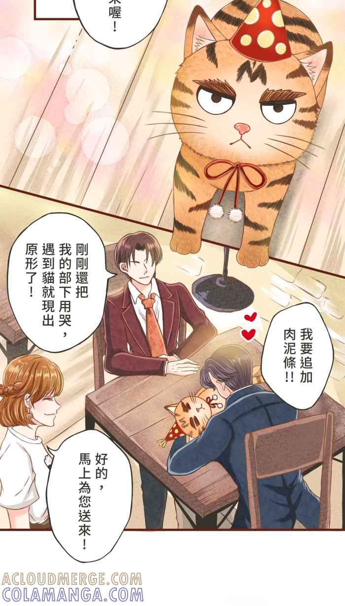 《霸总就爱吃定我》【第1话】欢迎光临肉球之森！ 第15页