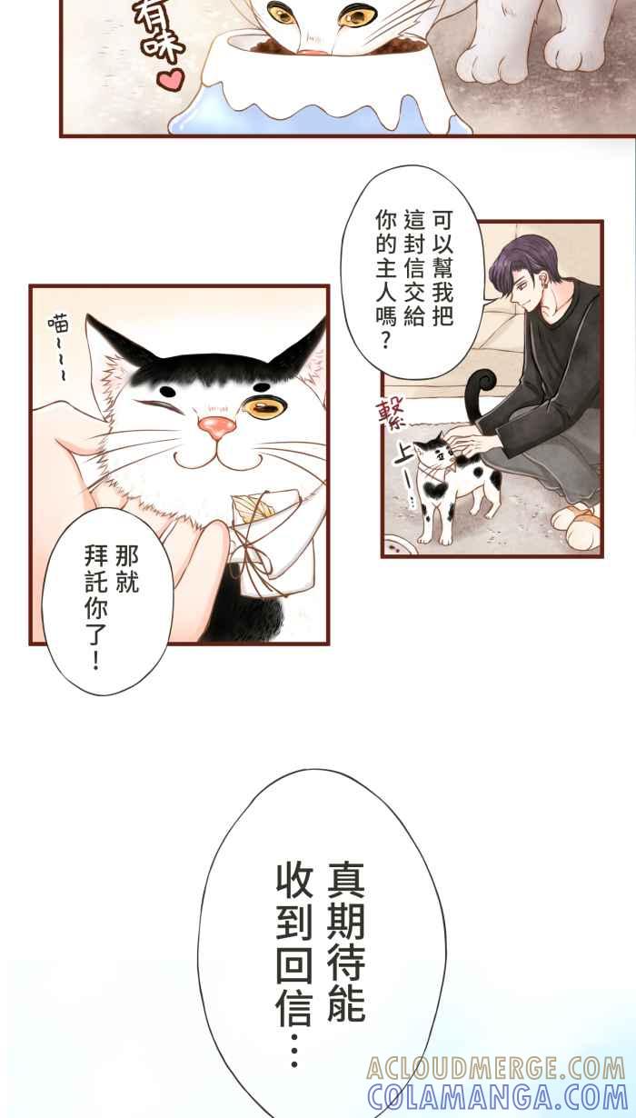 《霸总就爱吃定我》【第5话】猫猫传书 第13页