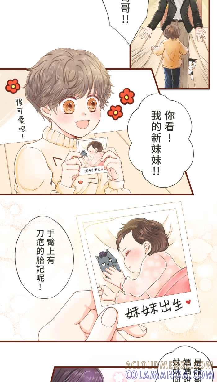 《霸总就爱吃定我》【第5话】猫猫传书 第17页