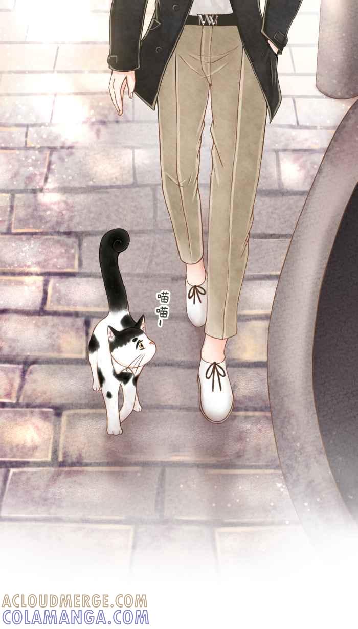 《霸总就爱吃定我》【第5话】猫猫传书 第15页