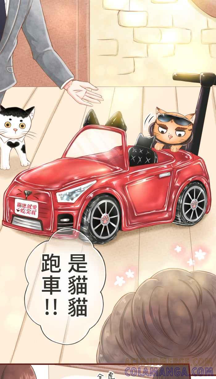 《霸总就爱吃定我》【第5话】猫猫传书 第19页