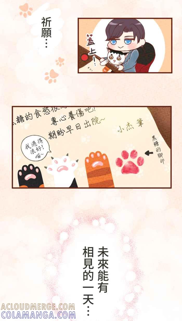 《霸总就爱吃定我》【第5话】猫猫传书 第25页
