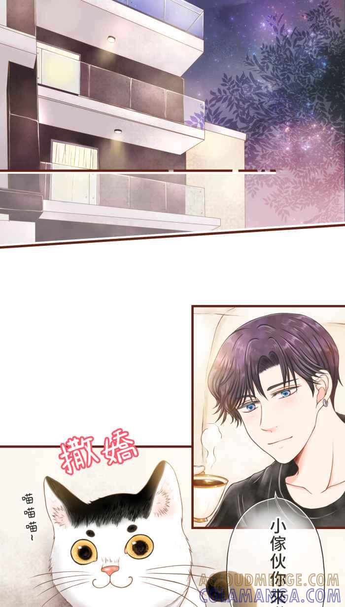 《霸总就爱吃定我》【第5话】猫猫传书 第11页