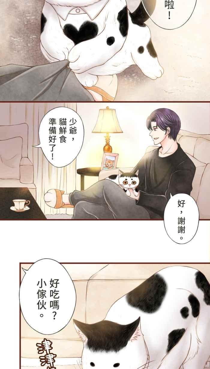 《霸总就爱吃定我》【第5话】猫猫传书 第12页
