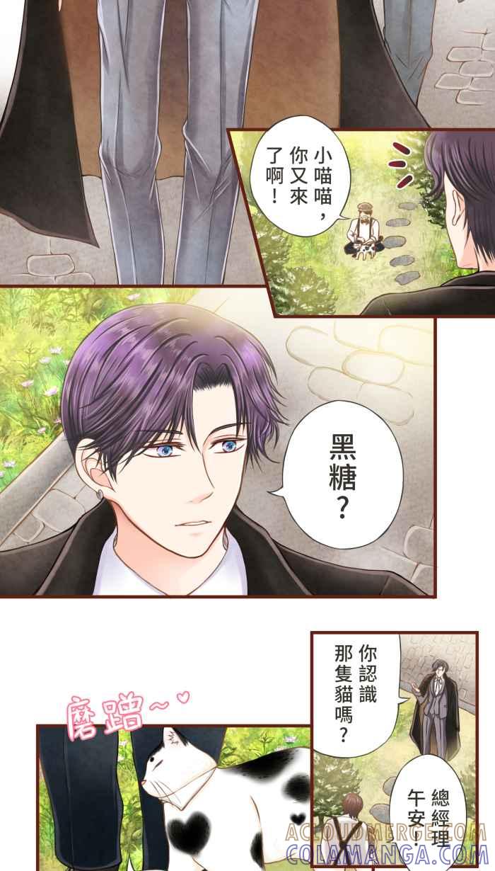《霸总就爱吃定我》【第6话】命运的指引 第9页