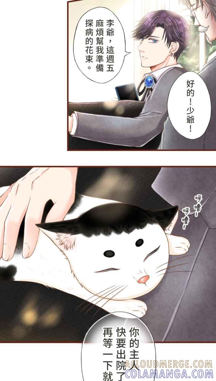 《霸总就爱吃定我》【第6话】命运的指引 第19页