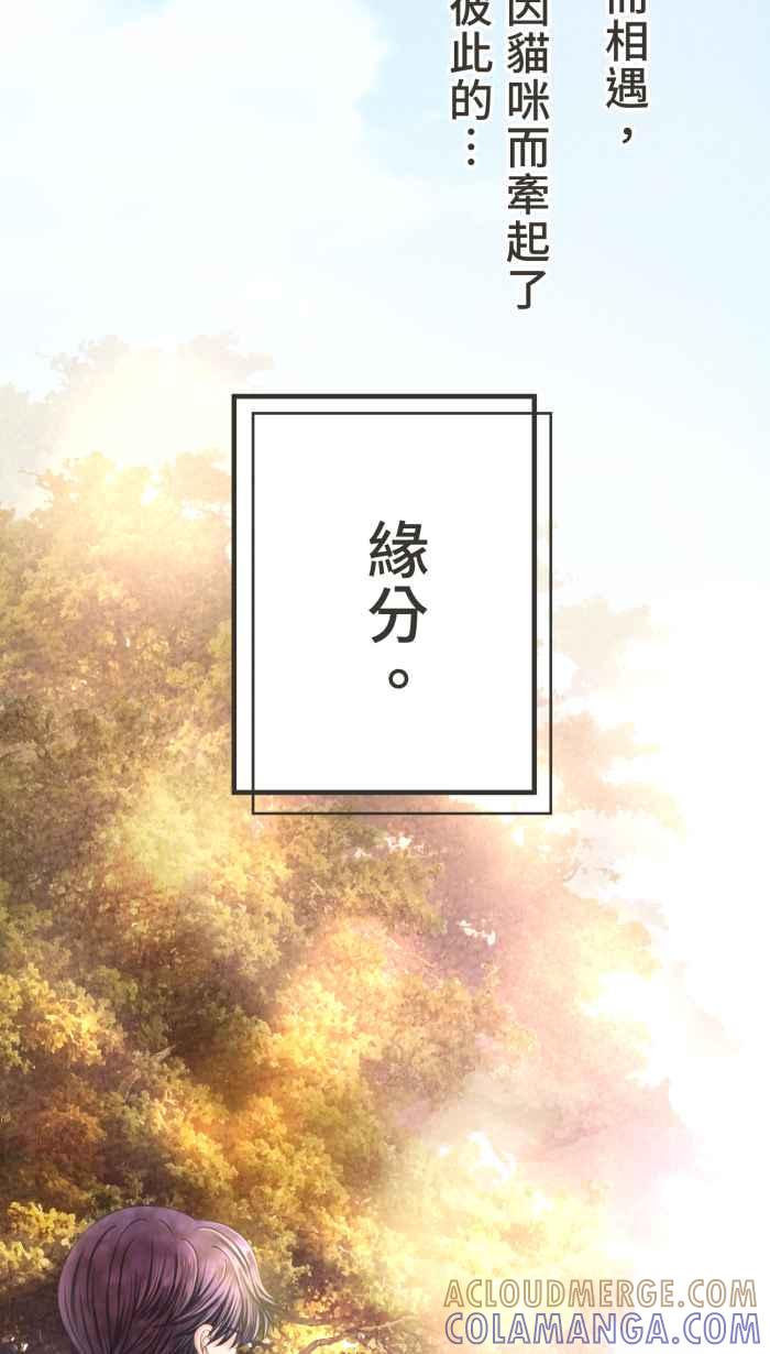 《霸总就爱吃定我》【第7话】牵起的缘分 第37页