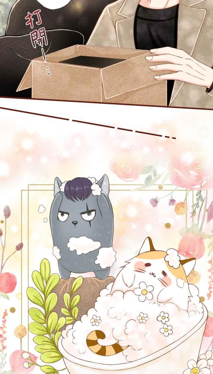 《霸总就爱吃定我》【第8话】招来爱情的白袜黑猫 第2页