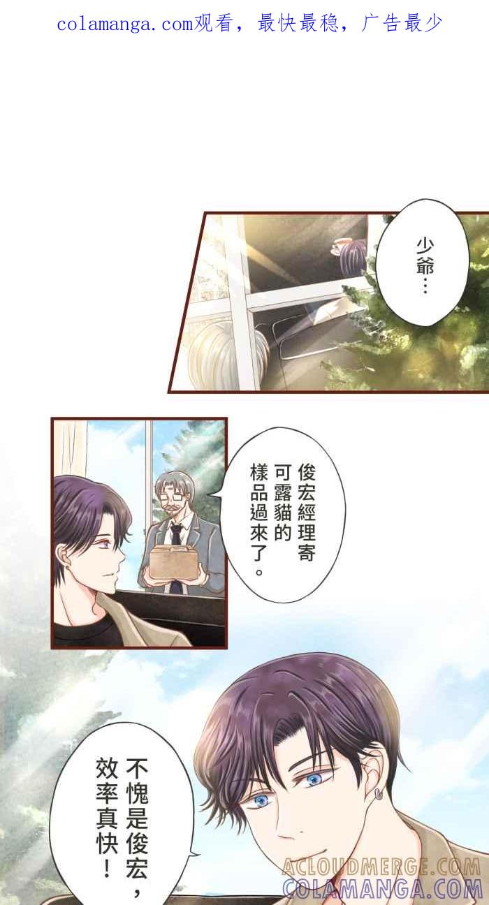 《霸总就爱吃定我》【第8话】招来爱情的白袜黑猫 第1页